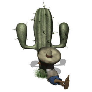 cactus_siesta_hw.gif