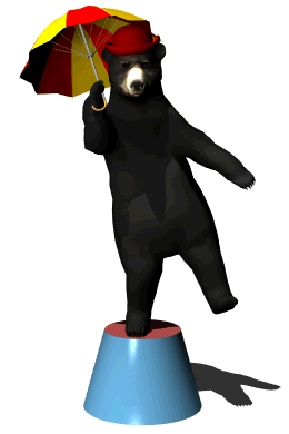 black_bear_circus_performer_hg_wht.gif