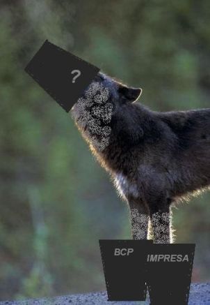 THE MECHANIC !!!.jpg