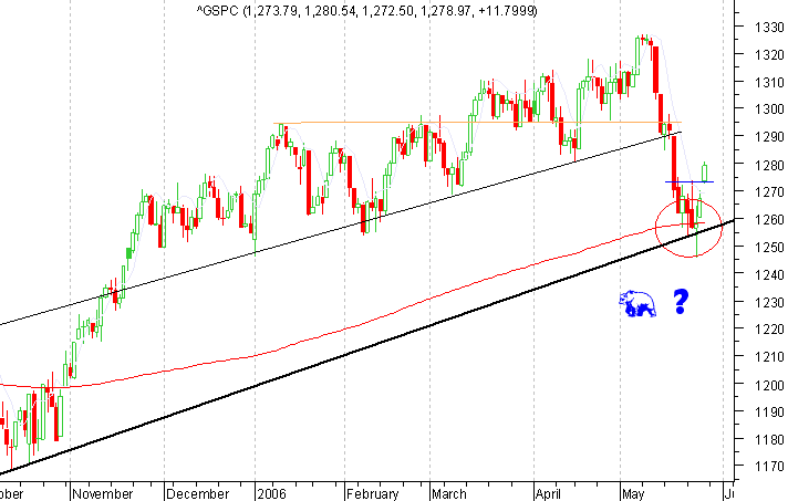 SP50026Maio06.png