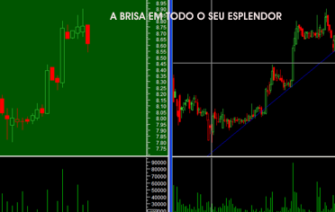 brisa2.png