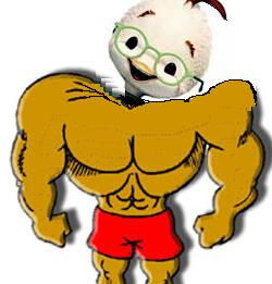 chicken ferias bronz.jpg