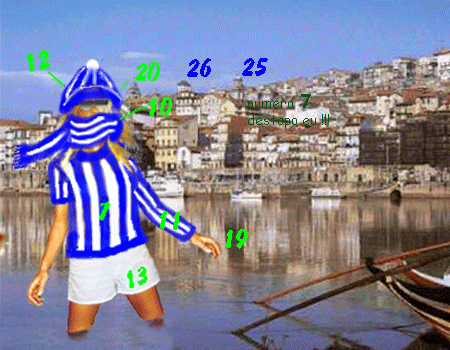 07-Fev.gif