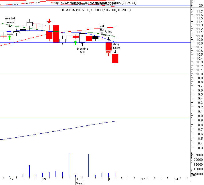 ptm1.gif