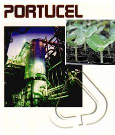PORTUCEL2.png