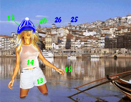 12-Fev.gif