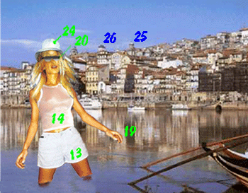 13Fev.gif