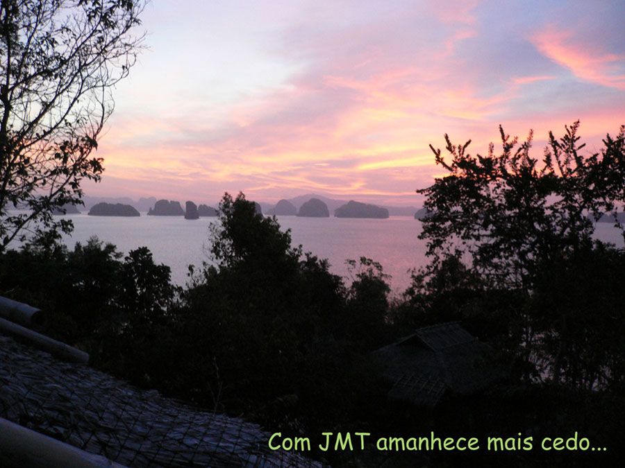 P1040783c.jpg