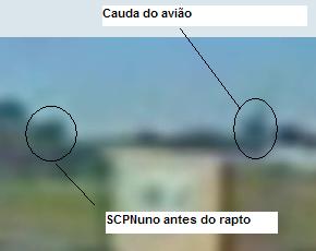 cauda.JPG