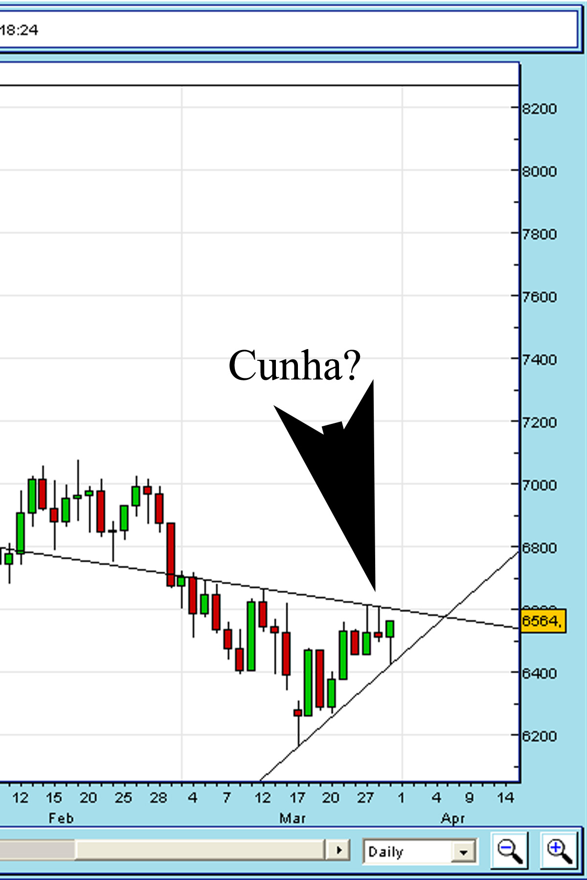 nova_cunha.jpg