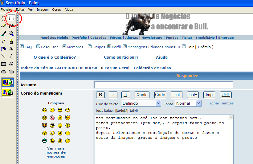 imagem1.PNG