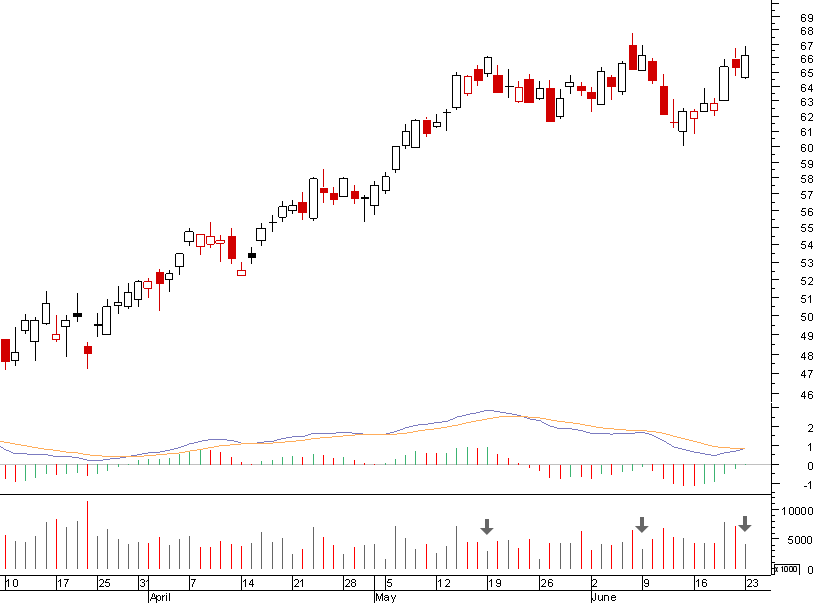 mittal volumes.png