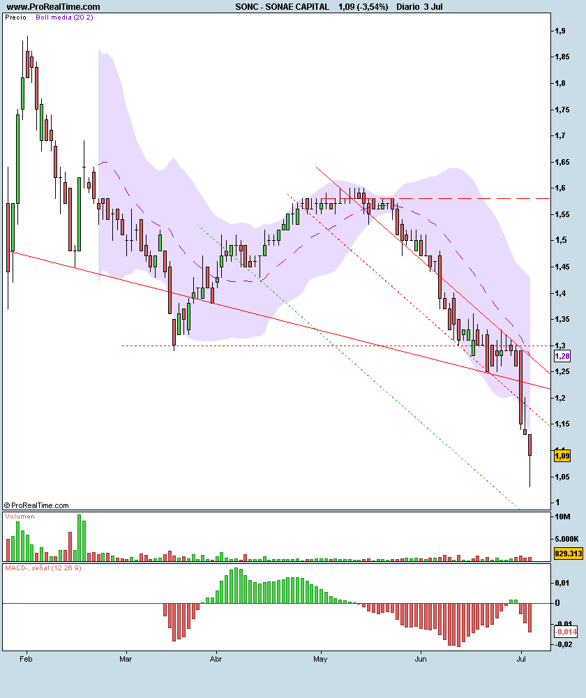 SONAE CAPITAL.png
