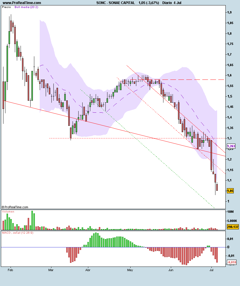 SONAE CAPITAL.png