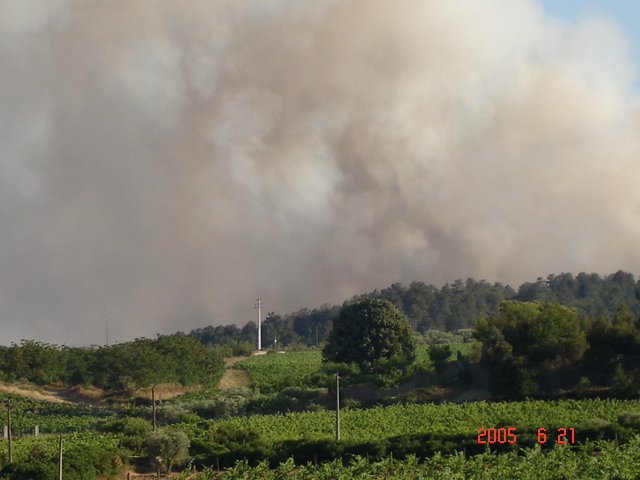 Incêndio 001.jpg