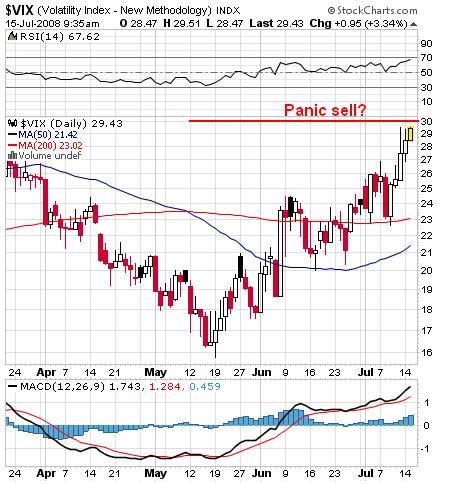 vix.JPG