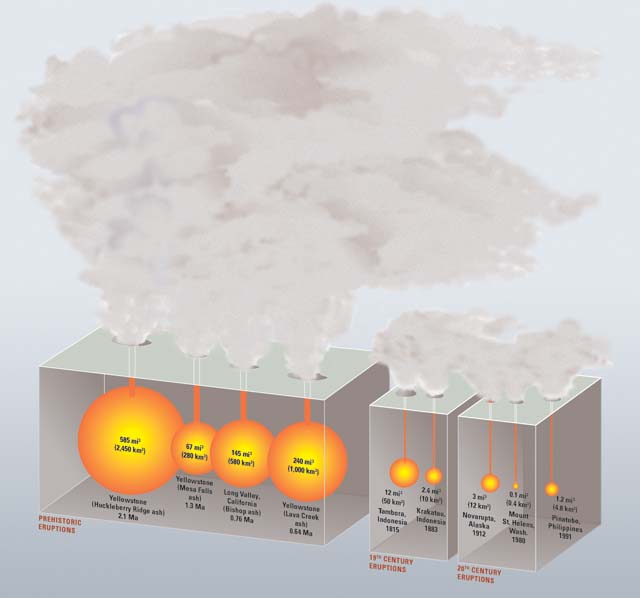 fs2005-3024_fig_15.jpg