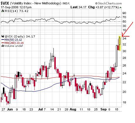 vix.JPG