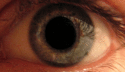 180px-Eye_dilate.gif