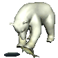 urso10.gif