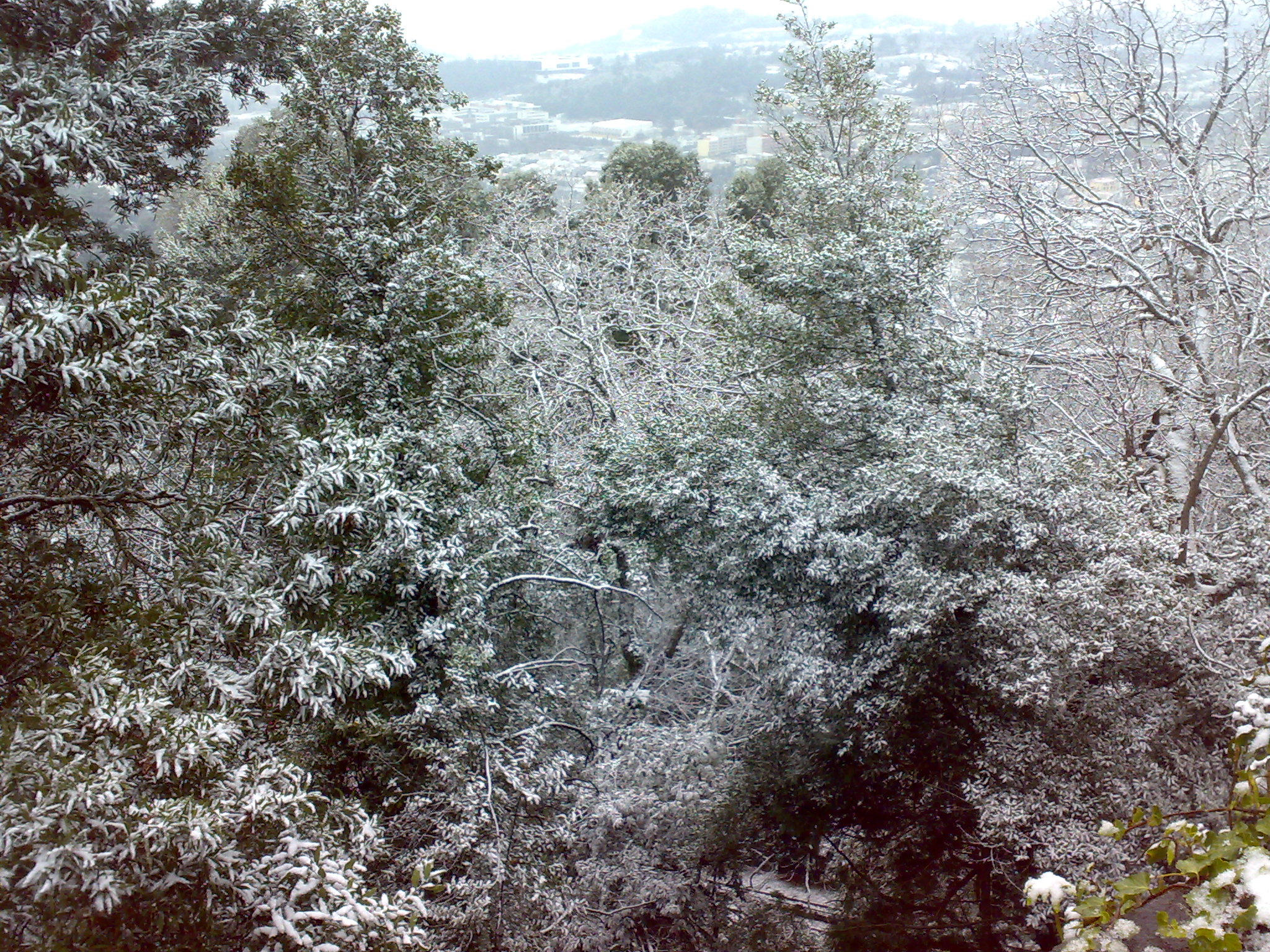 09012009283.jpg