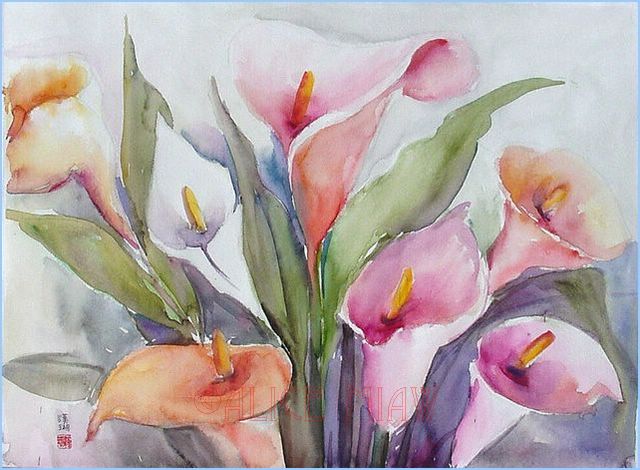 Flores%20007C[1].jpg