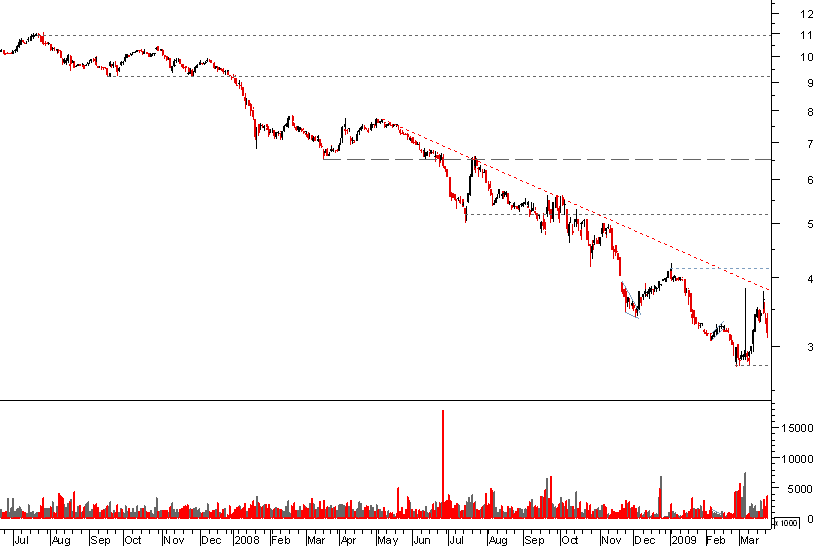 bes bear 250309.png