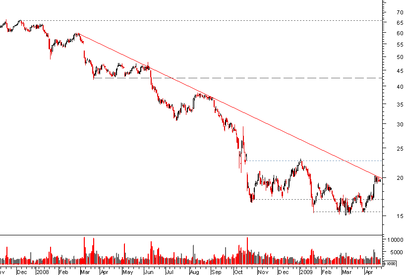 veolia bear 250409.png