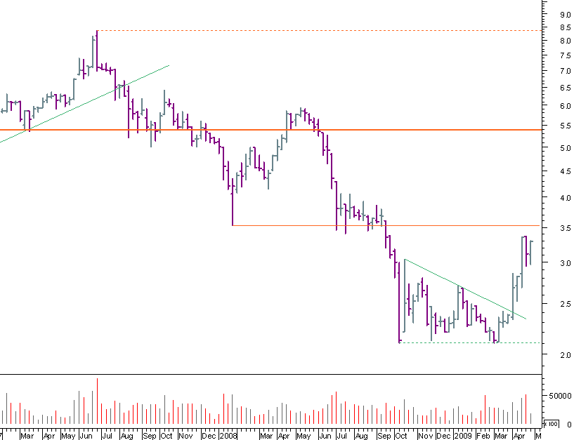 mota bear 020509.png