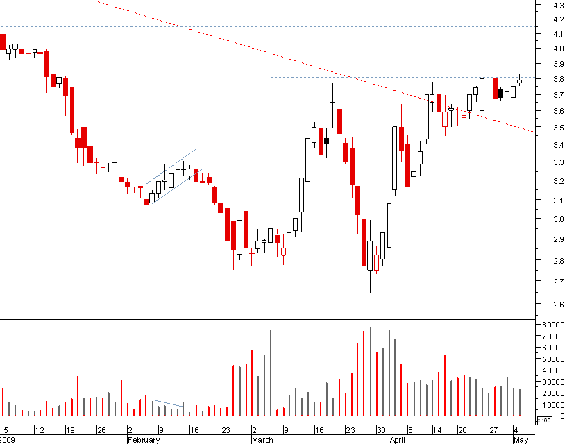 bes curto 050509.png