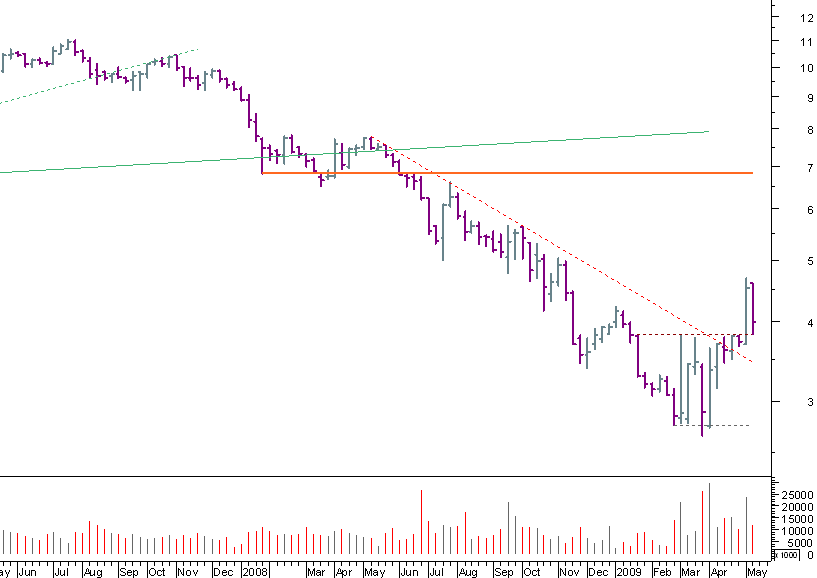 bes bear 150509.png