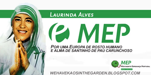 MEP.jpg
