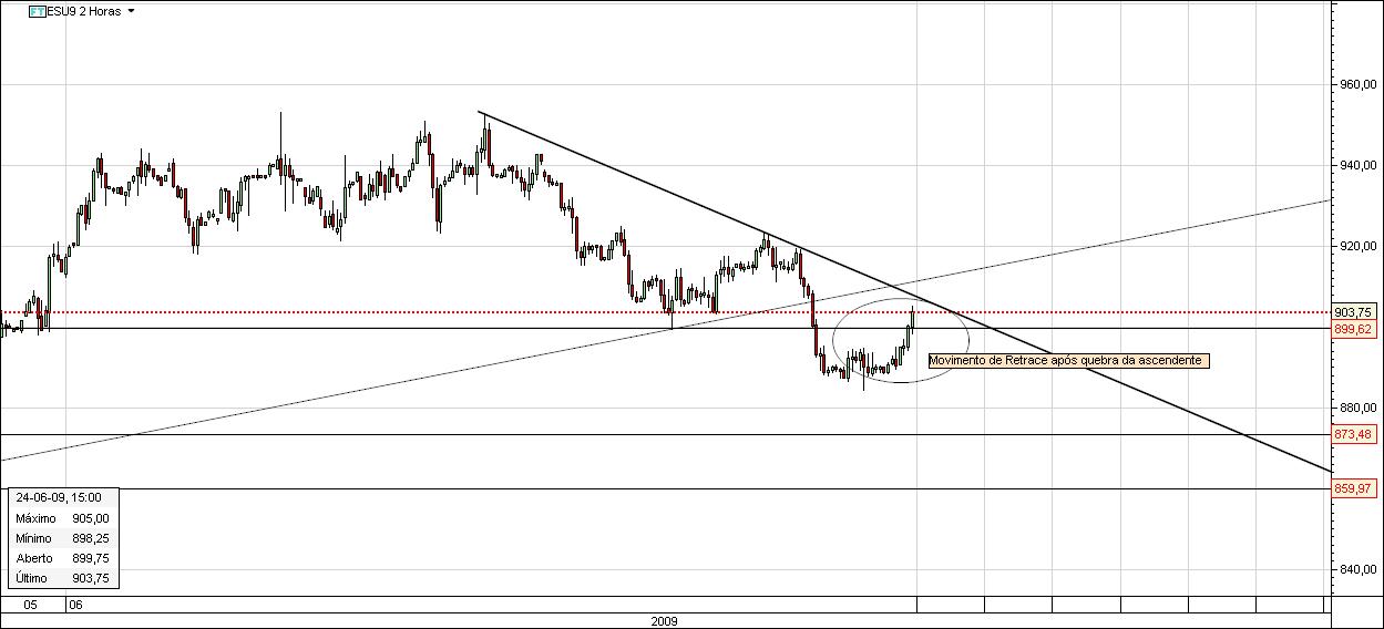 sp5004.jpg