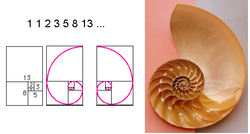 spiral.PNG
