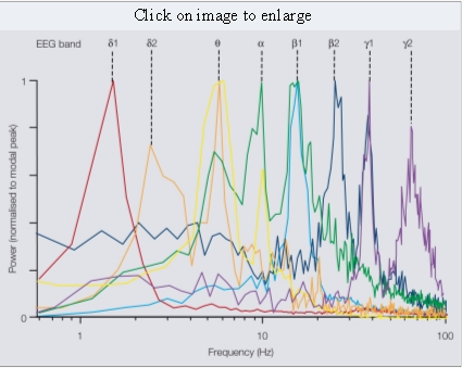 Aviary pubmedcentral-nih-gov Picture 1.png
