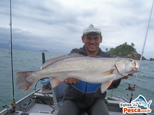 pescada a.jpg
