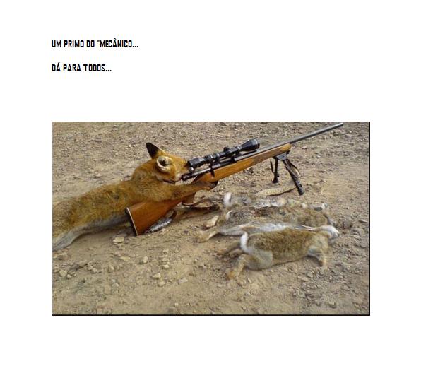 disparos1.jpg