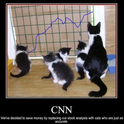 catsStockMarket.png