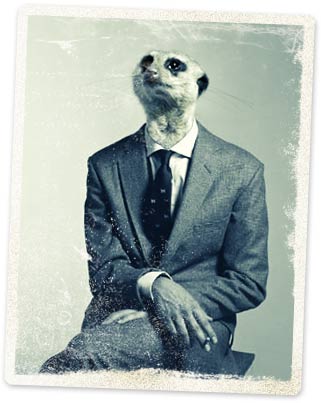 a-suricada-de-humphrey-holt.jpg