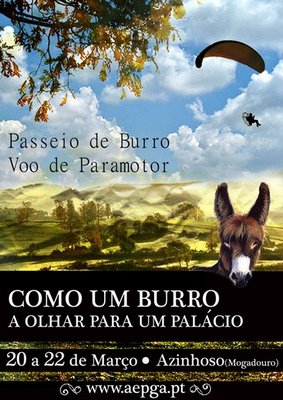 burro1.jpg