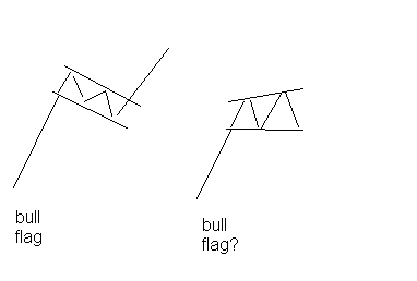 bull flag sera.bmp