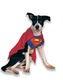dogsuperman.jpg