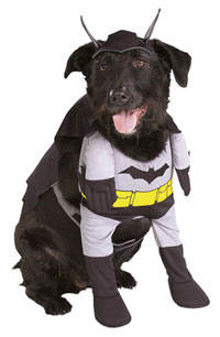 dogbatman.jpg