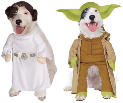 caes-starwars.jpg