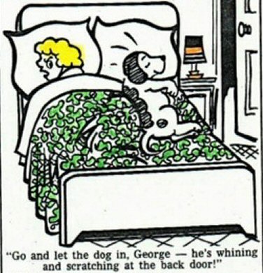 let-dog-in.jpg