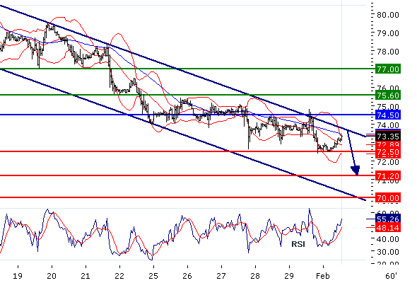 CrudeOil20100201.gif