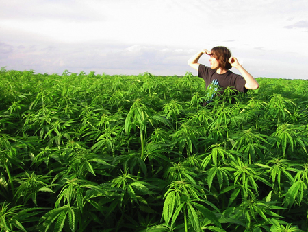 legalize-marijuana.jpg