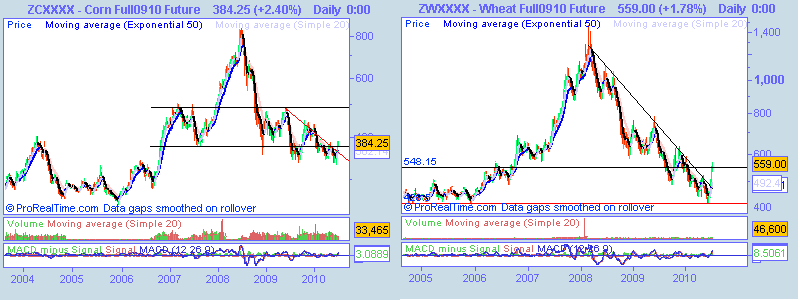 Corn Full0910 Future.png