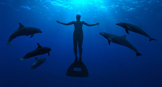 the-cove.jpg
