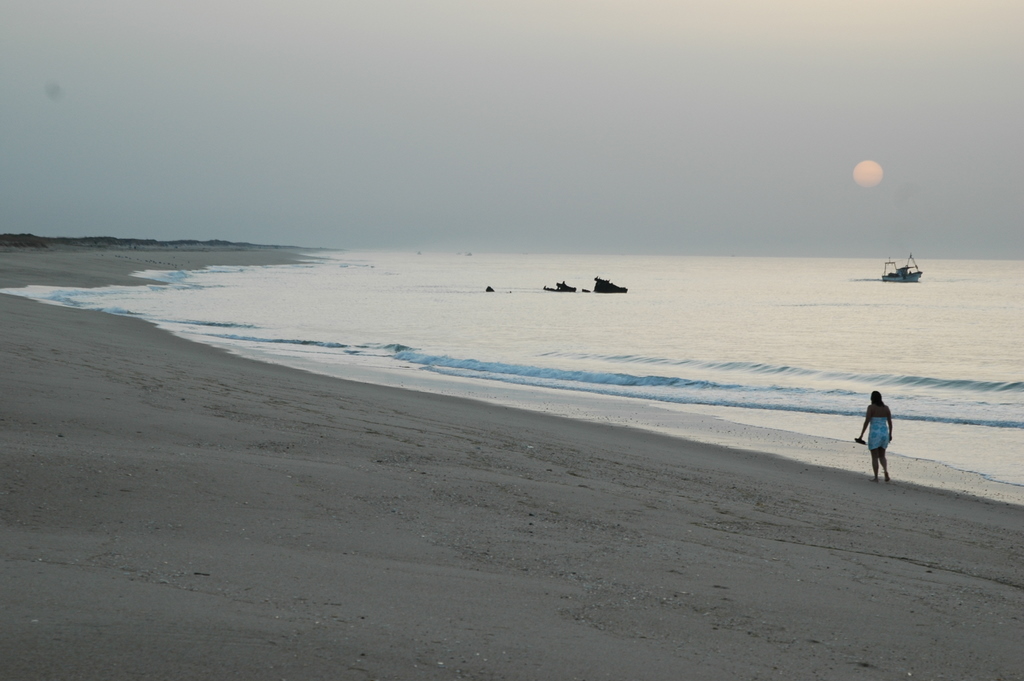 DSC_5911.JPG